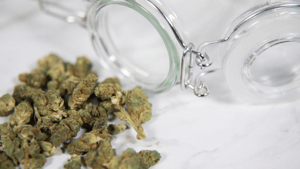 Cannabis and Its Potential Effects on Alzheimer’s and Dementia