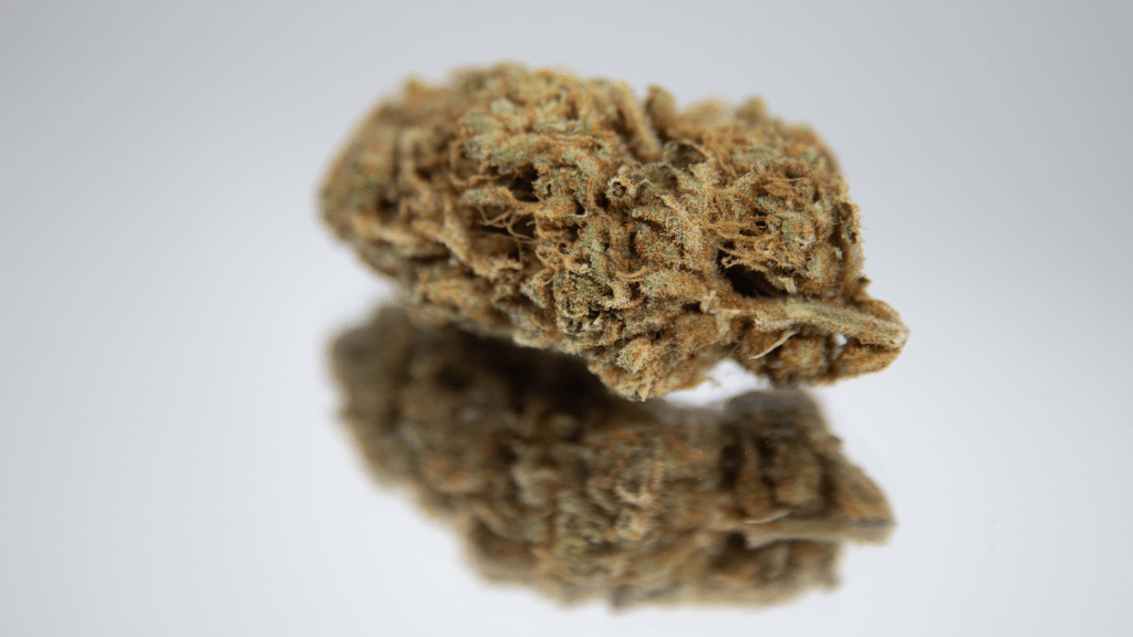 Understanding THC Levels in Cannabis: A Guide for Beginners